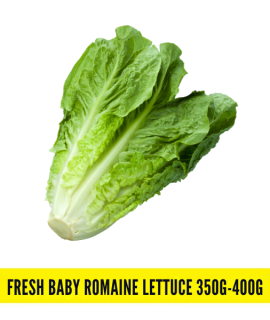 Fresh Baby Romaine Lettuce 350g-400g