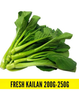 Fresh Kailan 200g-250g