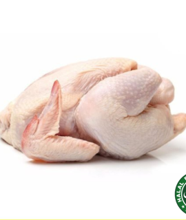 Fresh Chicken (Whole) 0.9-1kg