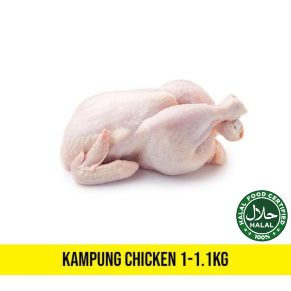 Fresh Kampung Chicken 1-1.2kg (Whole)