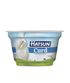 Hatsun curd 200 Best Price in Singapore