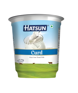 Hatsun curd 400 best Price in Singapore